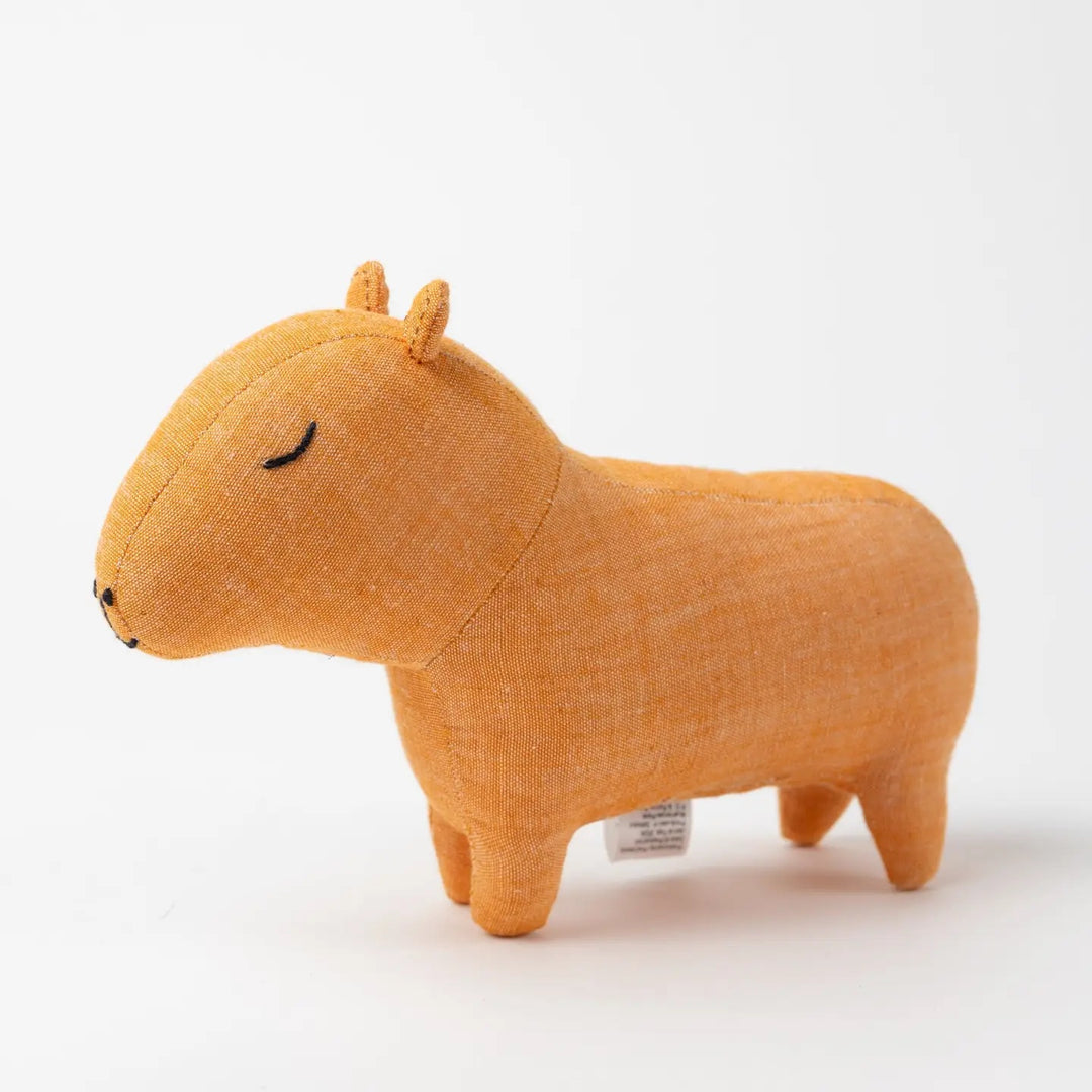 Fair Friend - Capybara