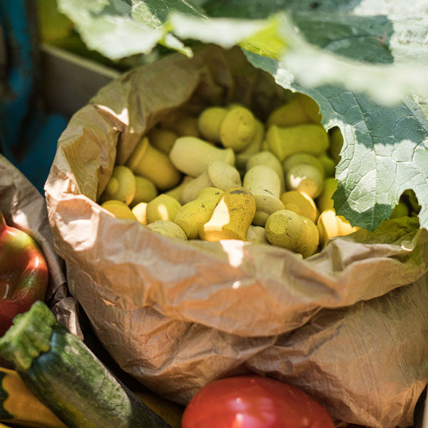 Wooden Mandala Tulips