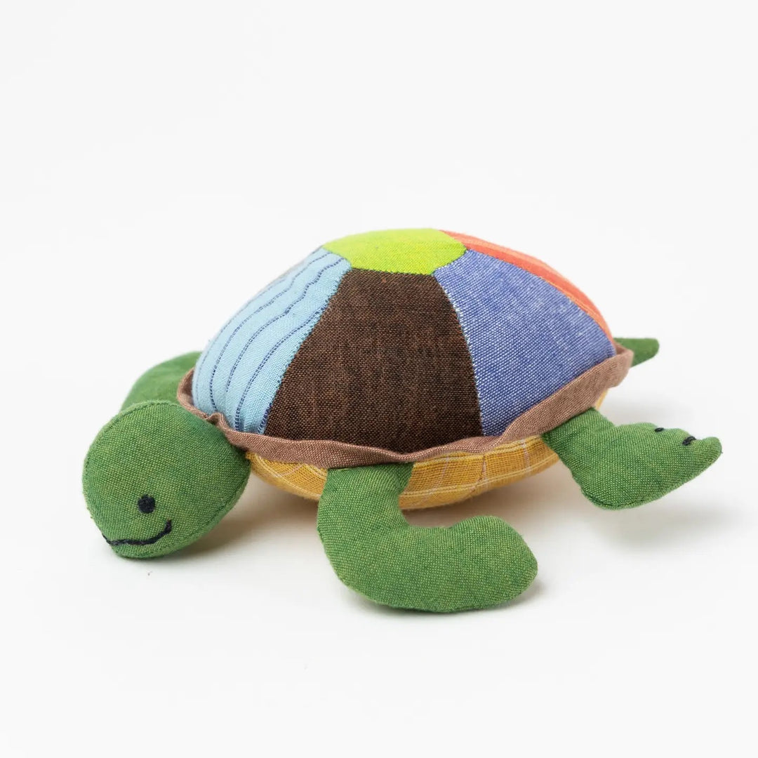 Fair Friend - Turtle