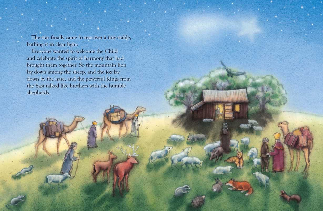 Christmas Star  by: Marcus Pfister