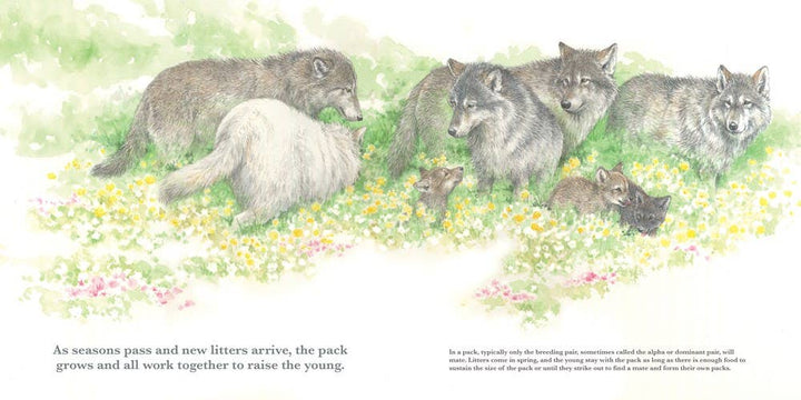 They Lead: The Wolf Pack