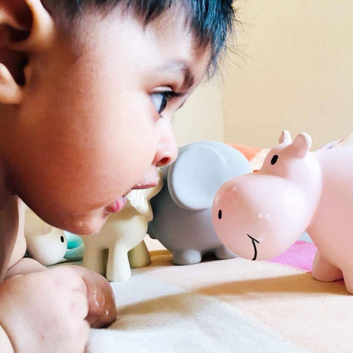 Hippo Natural Organic Rubber Teether, Rattle &amp; Bath Toy