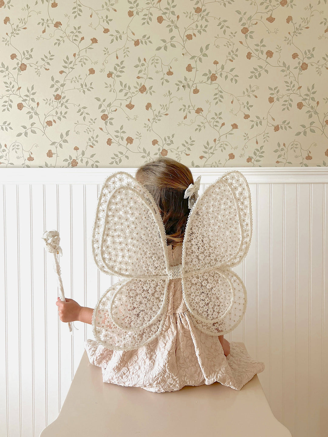 Fairy Wings &amp; Magic Wands
