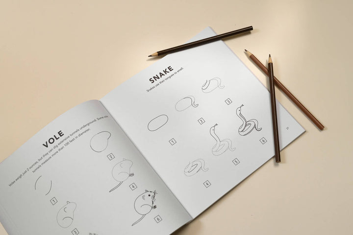 How to Draw Woodland Creatures