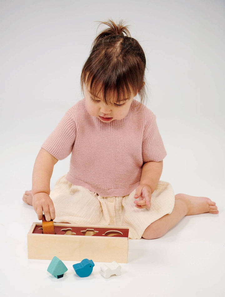 Pet Shape Sorting Box