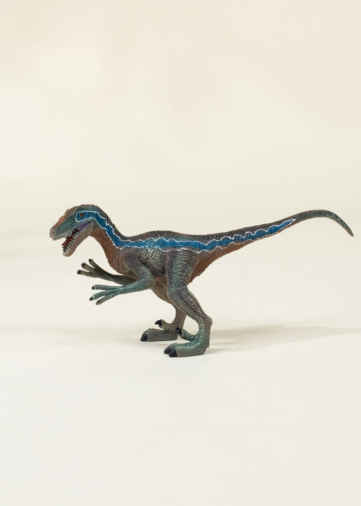 Velociraptor Dinosaur in a Collectible Box