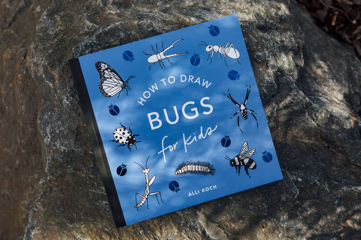 How to Draw Bugs for Kids