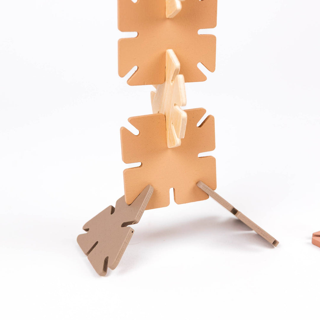 Wooden Connecting Shapes