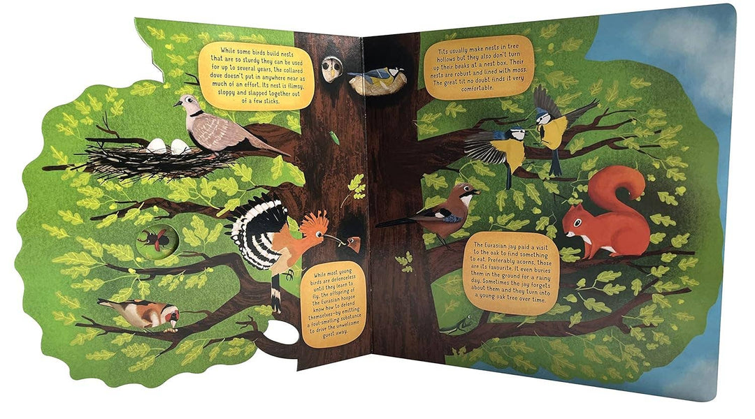 Discovering the World of Bird Nests -Children&