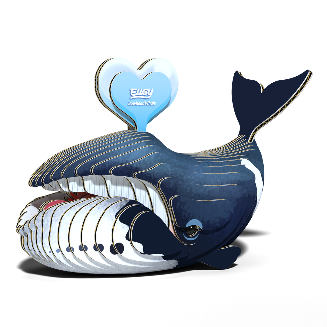 Bowhead Whale 3D Puzzle