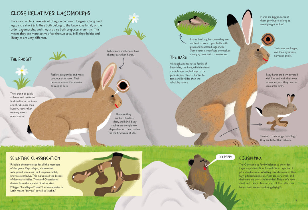 Rabbitology – by Ilaria Demonti