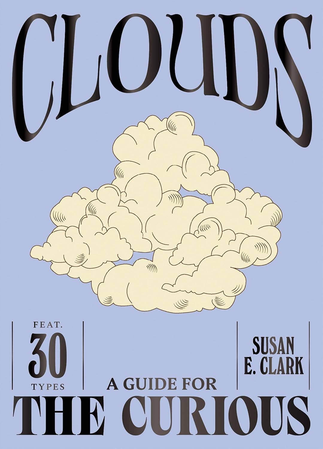 Clouds: A Guide for the Curious