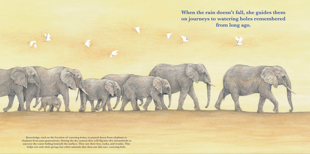 She Leads: The Elephant Matriarch