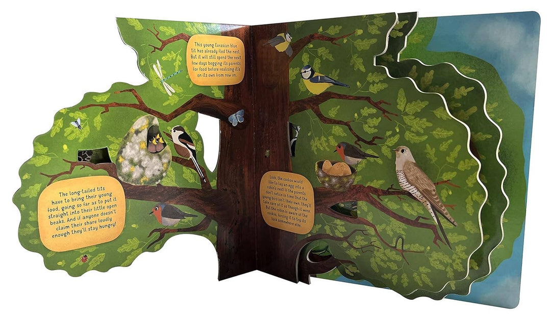 Discovering the World of Bird Nests -Children&