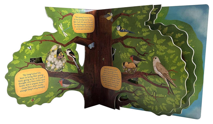 Discovering the World of Bird Nests -Children&