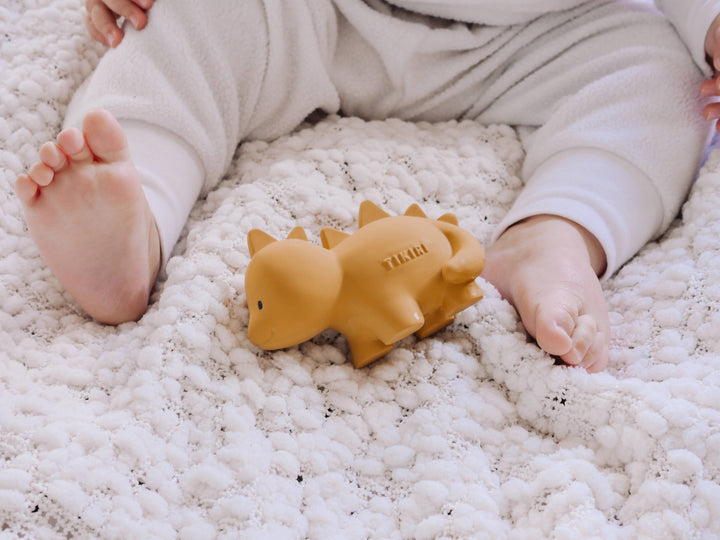 Stego Natural Rubber Teether, Rattle &amp; Bath Toy