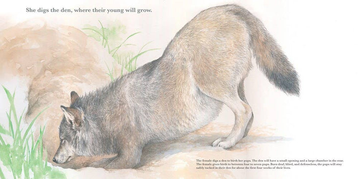 They Lead: The Wolf Pack