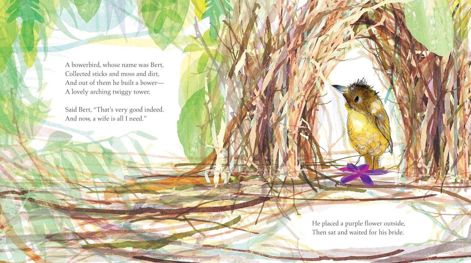 Bert, the Bowerbird: The small bird with a big heart