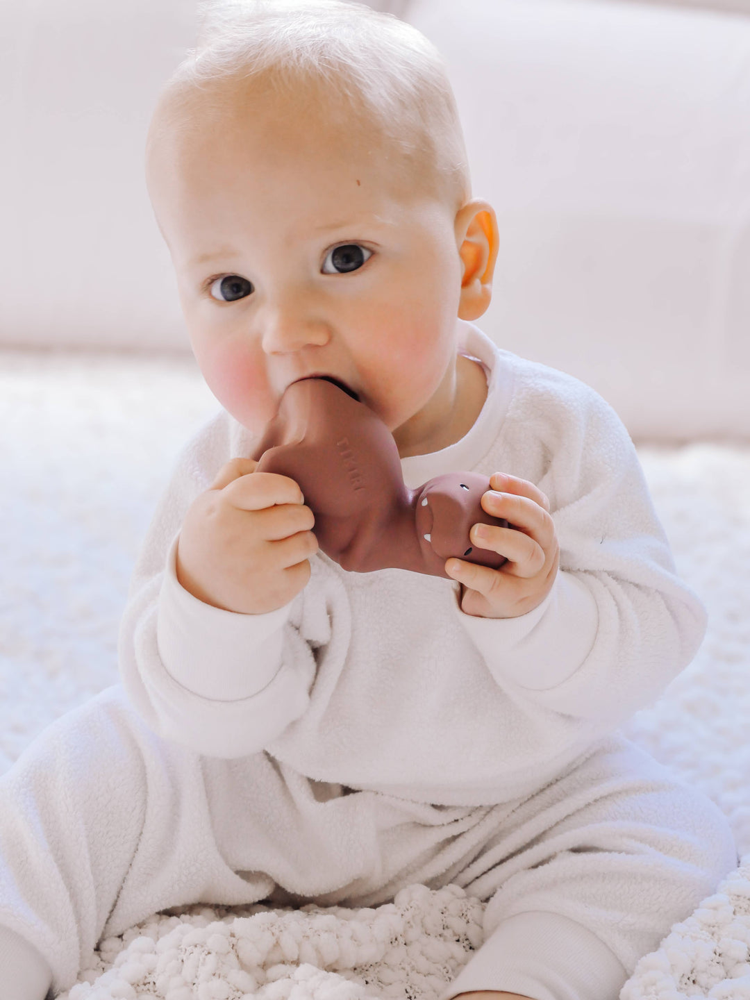 T-Rex Natural Rubber Teether, Rattle &amp; Bath Toy
