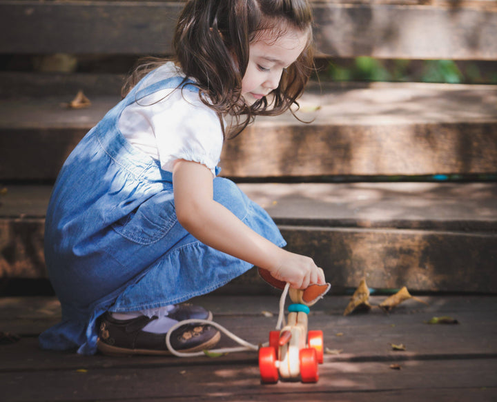 Happy Puppy Pull Pal