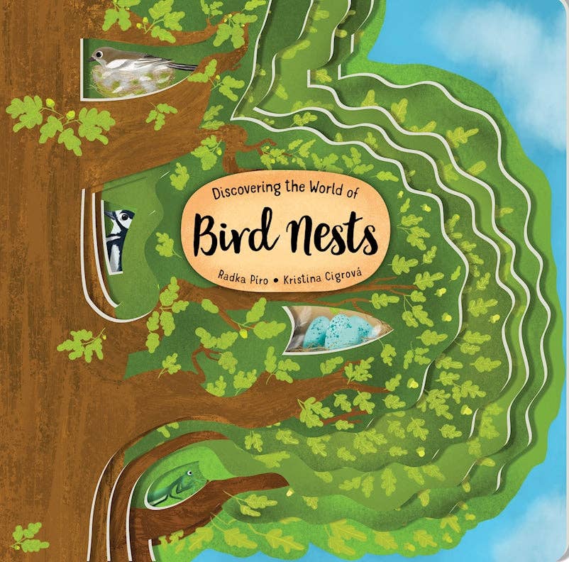 Discovering the World of Bird Nests -Children&