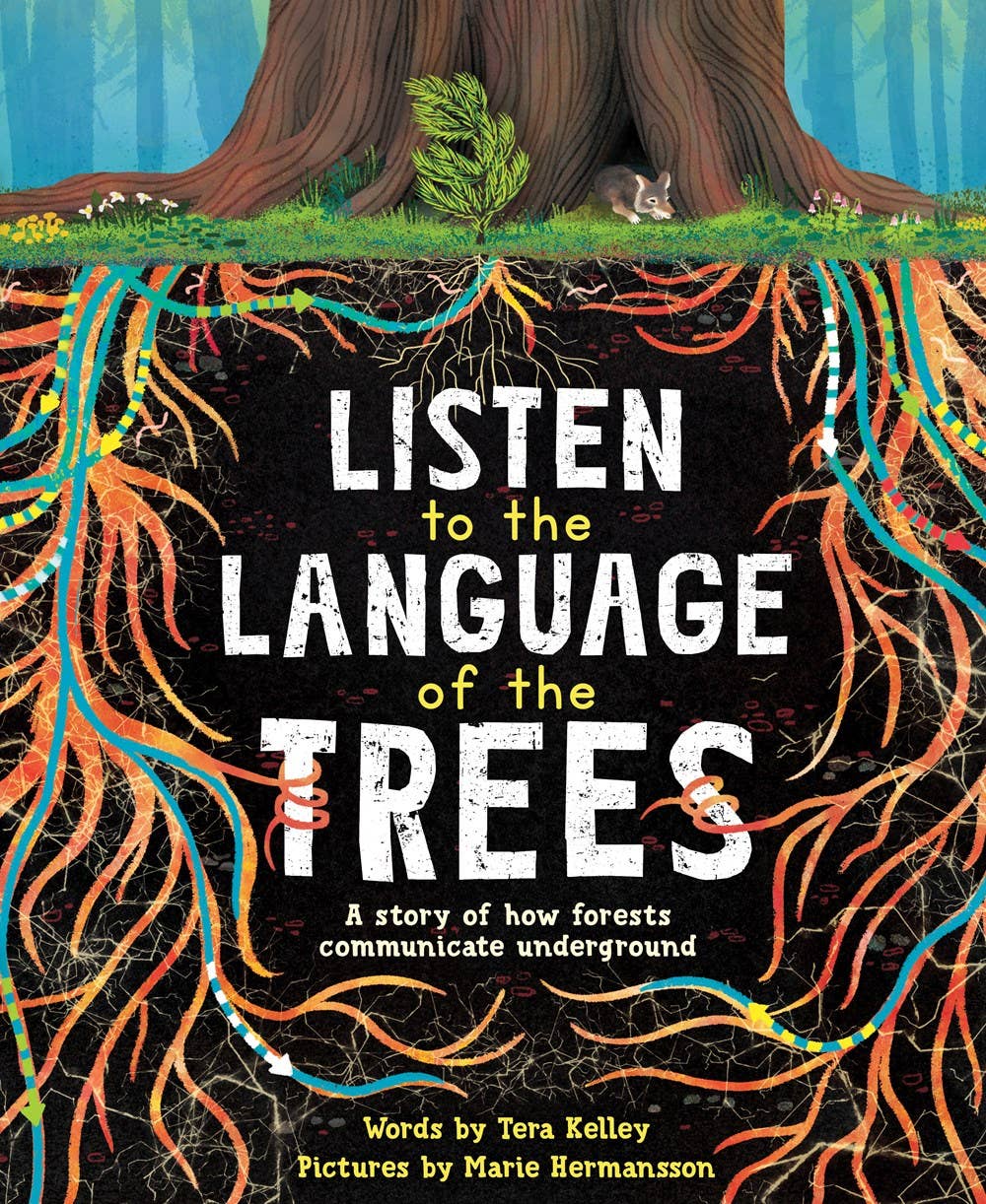 Listen to the Language of the Trees (TP)