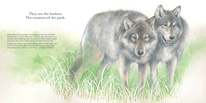 They Lead: The Wolf Pack