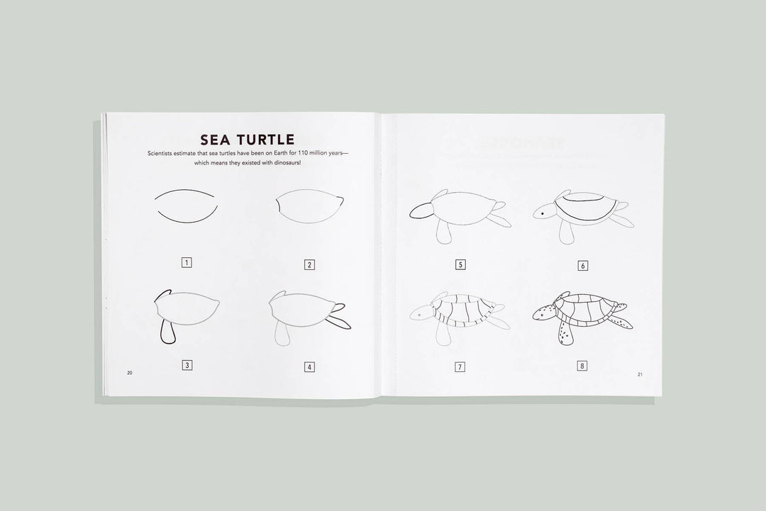 How to Draw Under the Sea