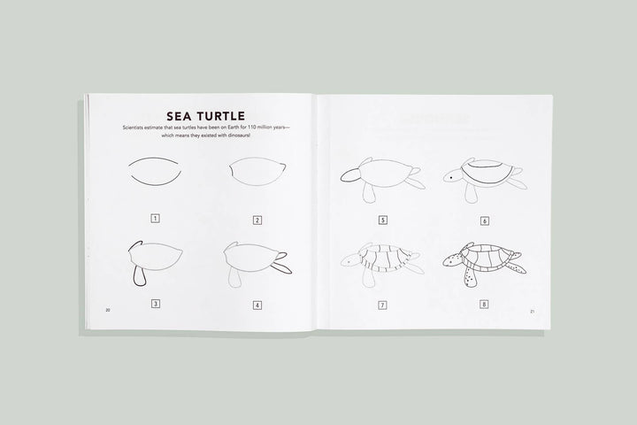 How to Draw Under the Sea