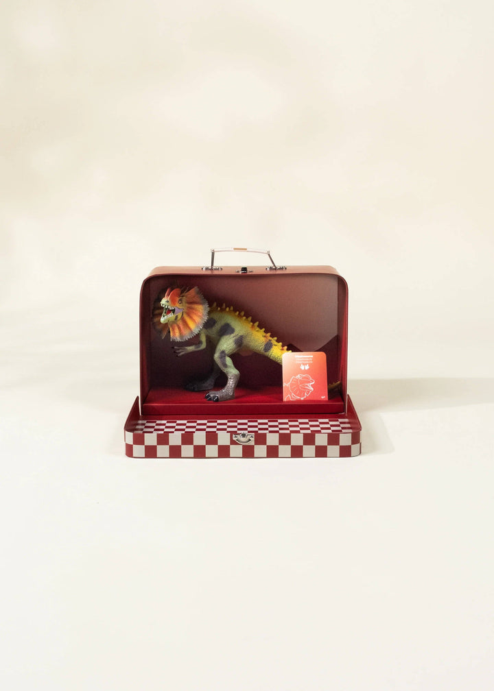 Dilophosaurus Dinosaur in a Collectible Box