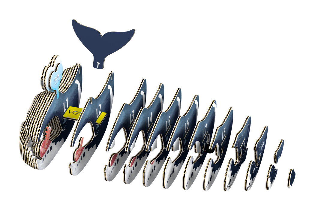 Bowhead Whale 3D Puzzle