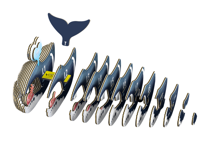 Bowhead Whale 3D Puzzle