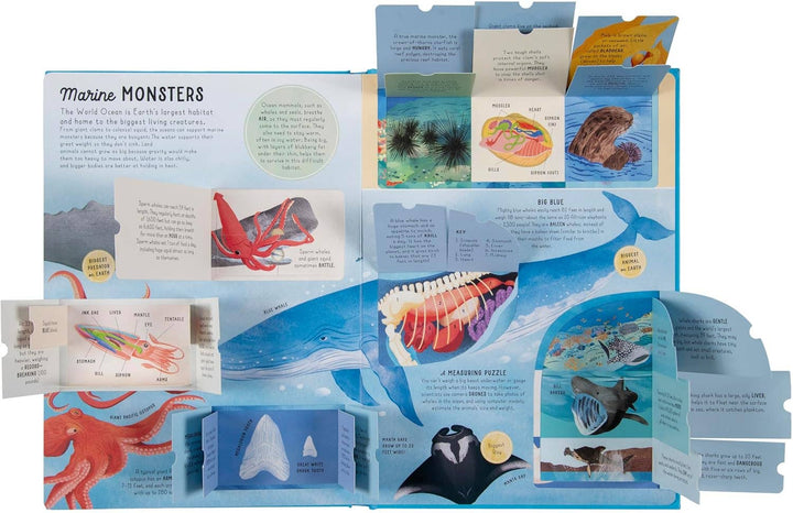 Ultimate Lift the Flap Encyclopedia of Oceans