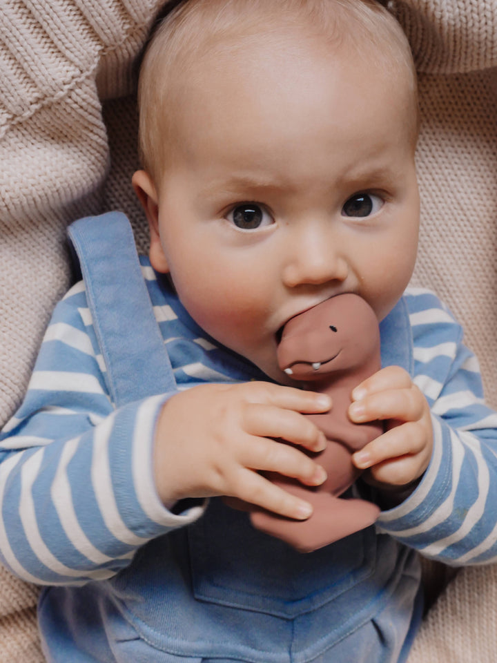T-Rex Natural Rubber Teether, Rattle &amp; Bath Toy