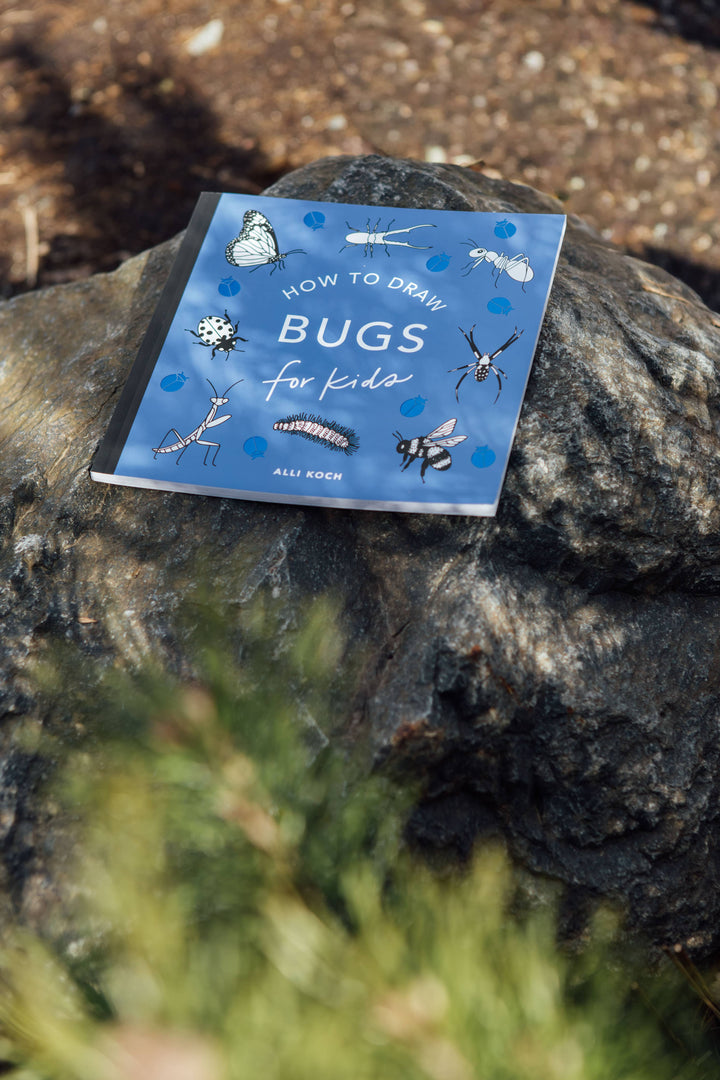 How to Draw Bugs for Kids