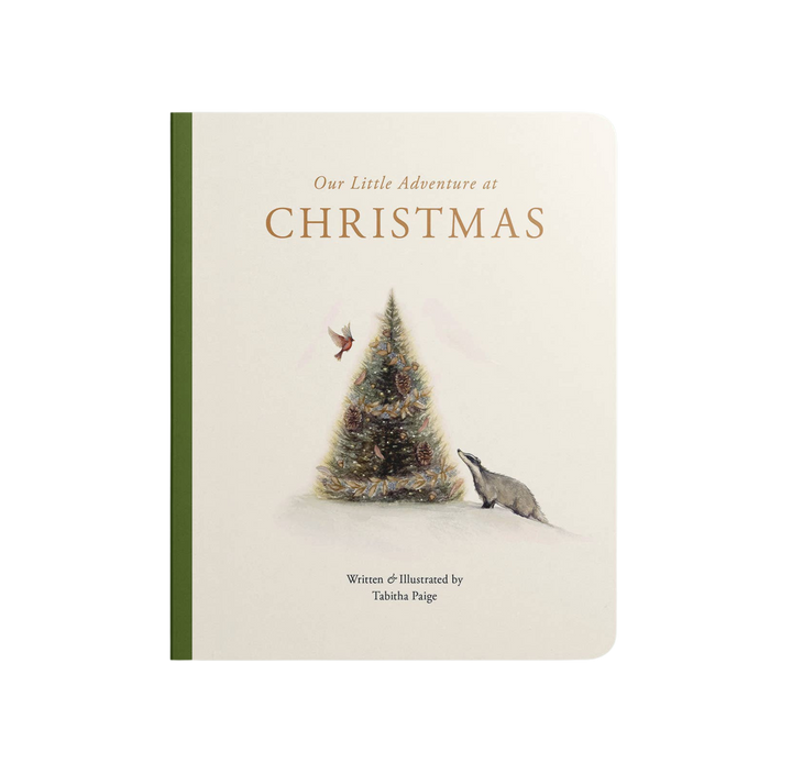 Our Little Adventure at Christmas (Baby's first Christmas)