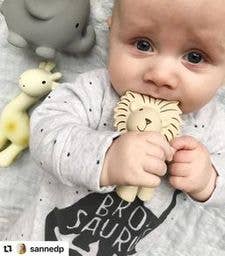 Lion Natural Organic Rubber Rattle, Teether &amp; Bath Toy