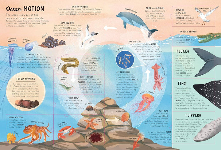 Ultimate Lift the Flap Encyclopedia of Oceans