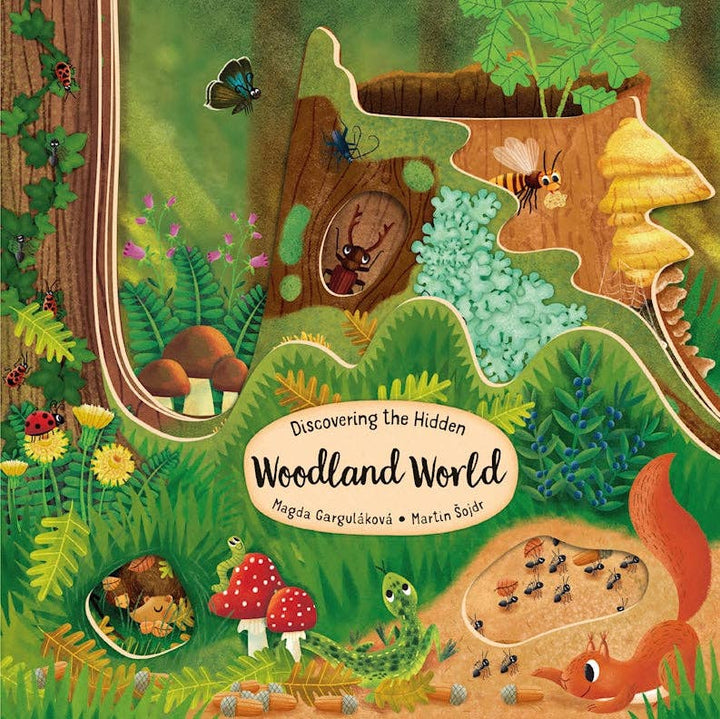 Discovering the Hidden Woodland World - Kid&