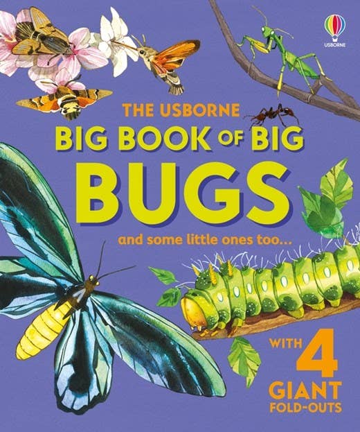 Big Book of Bugs – by Emily Bone, illustrated by Fabiano Fiorin