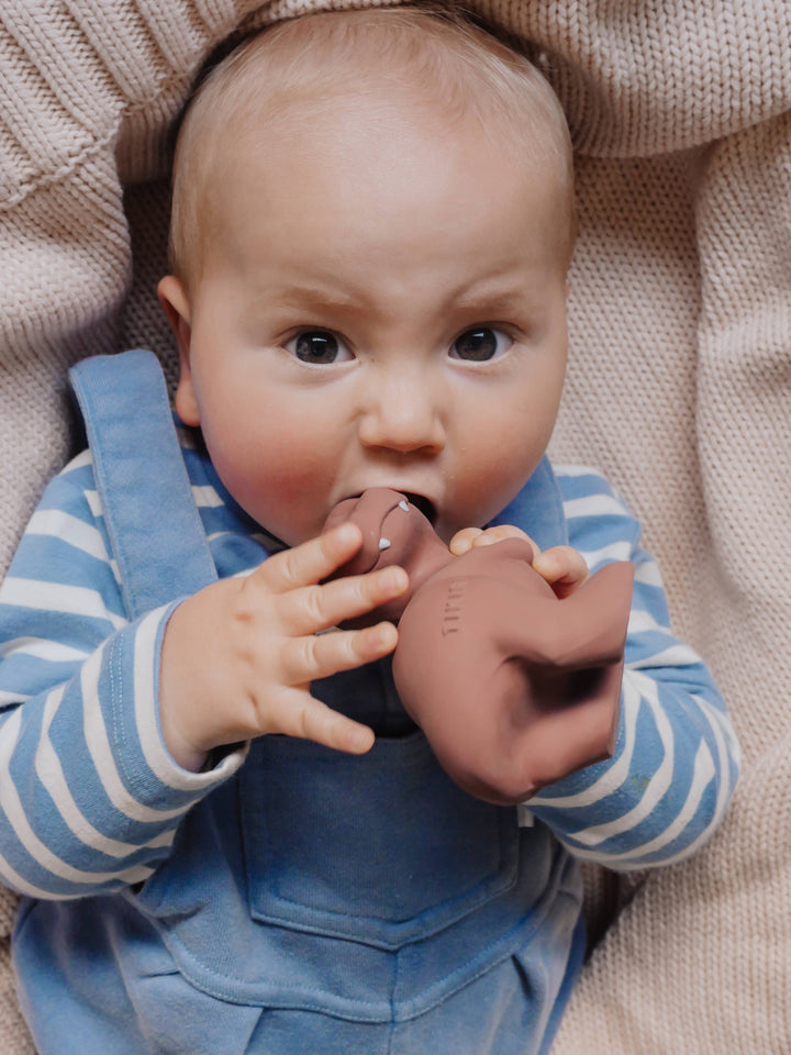 T-Rex Natural Rubber Teether, Rattle &amp; Bath Toy
