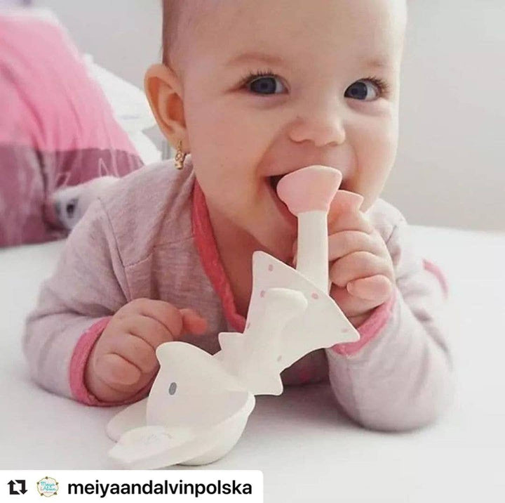 Meiya Mouse Teether Toy