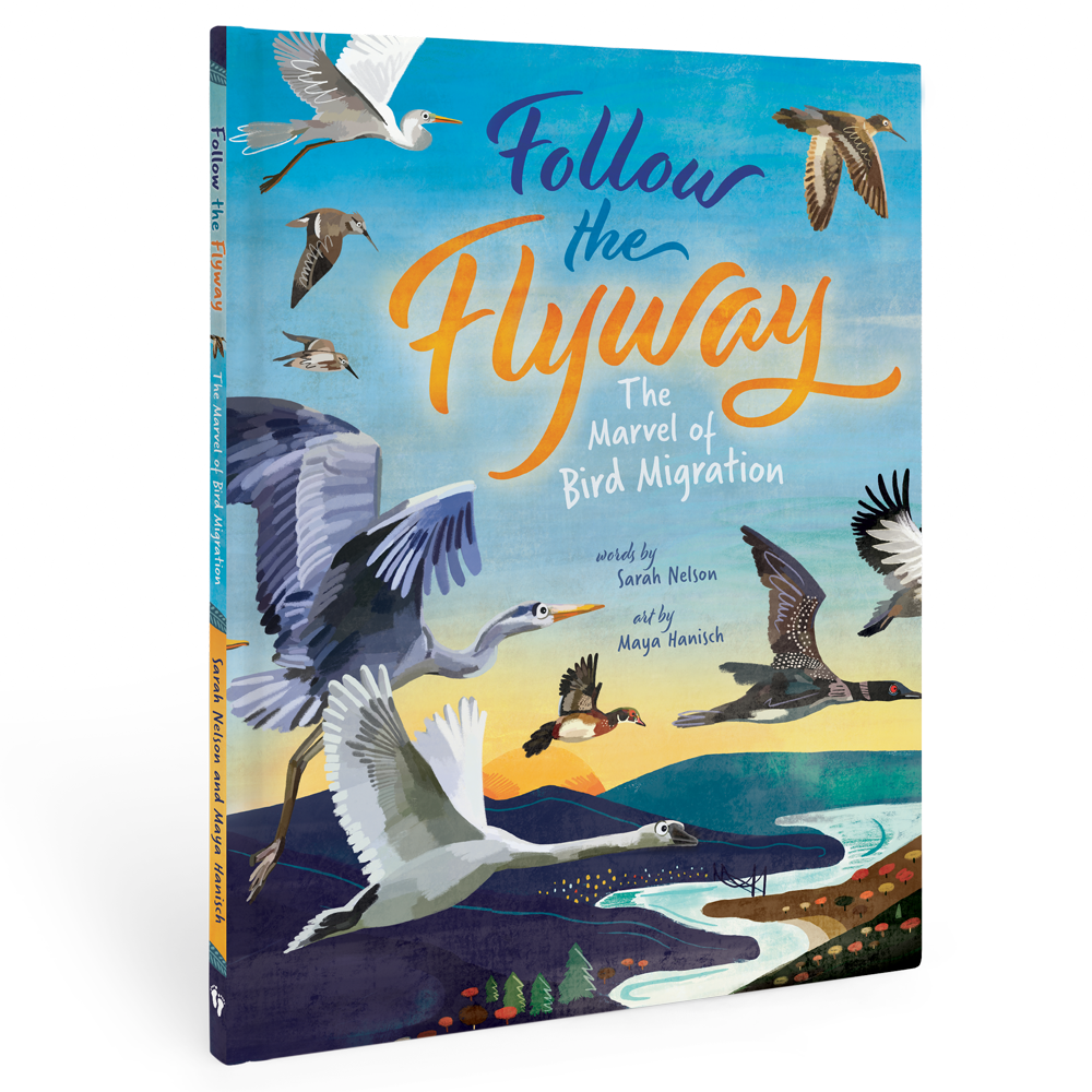 Follow the Flyway