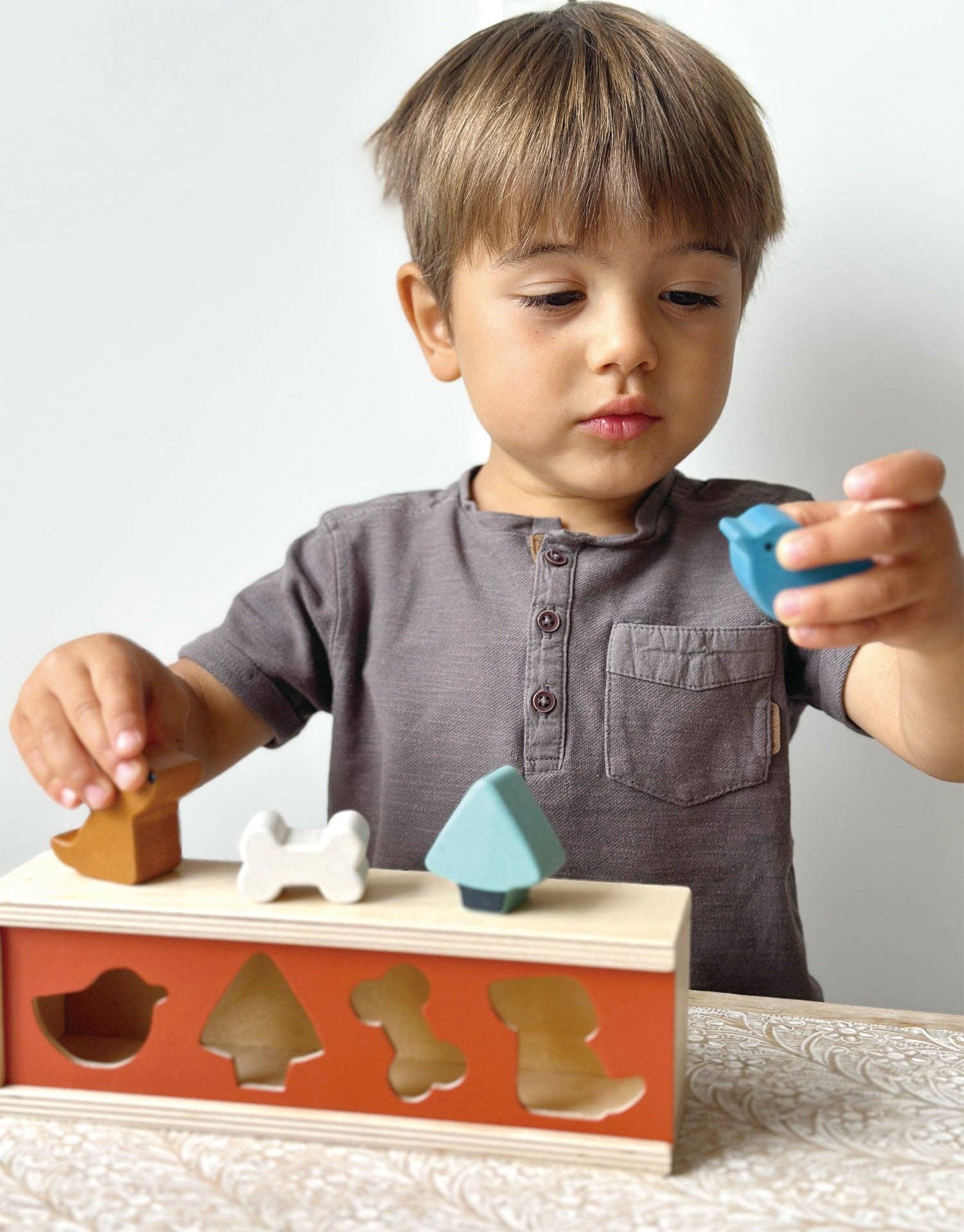 Pet Shape Sorting Box