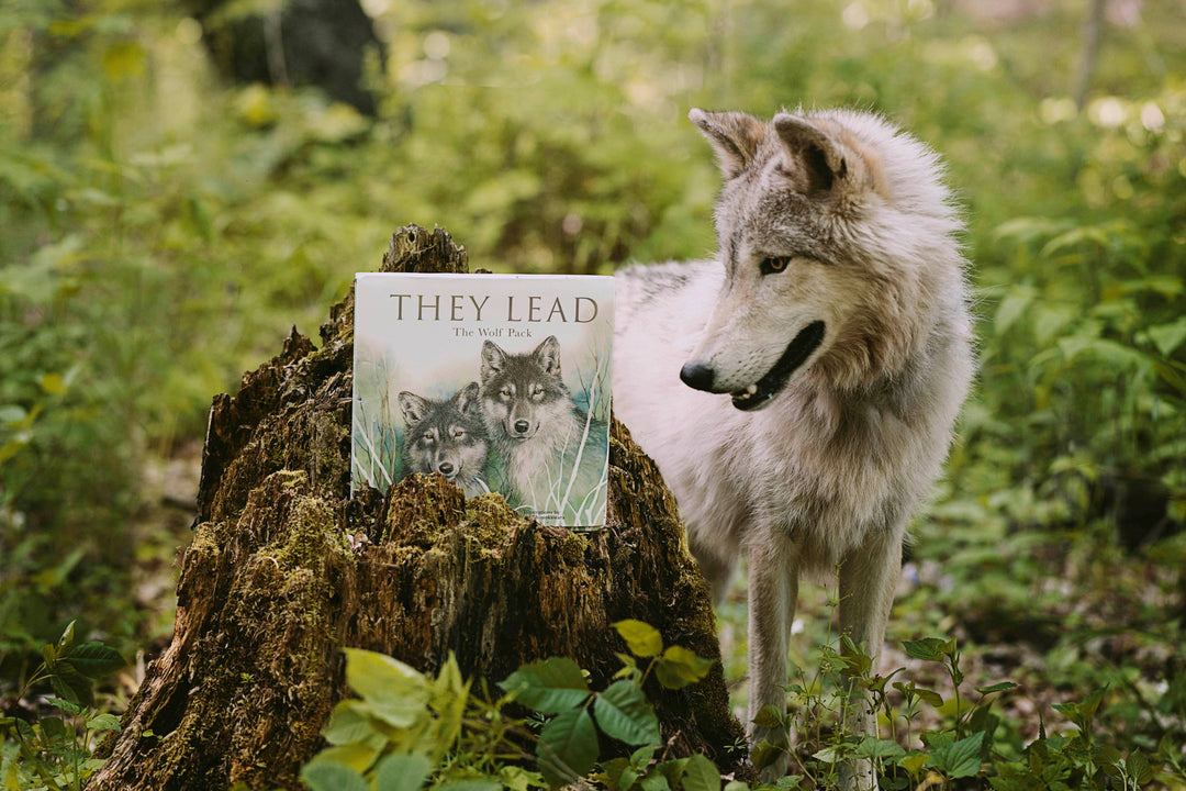They Lead: The Wolf Pack