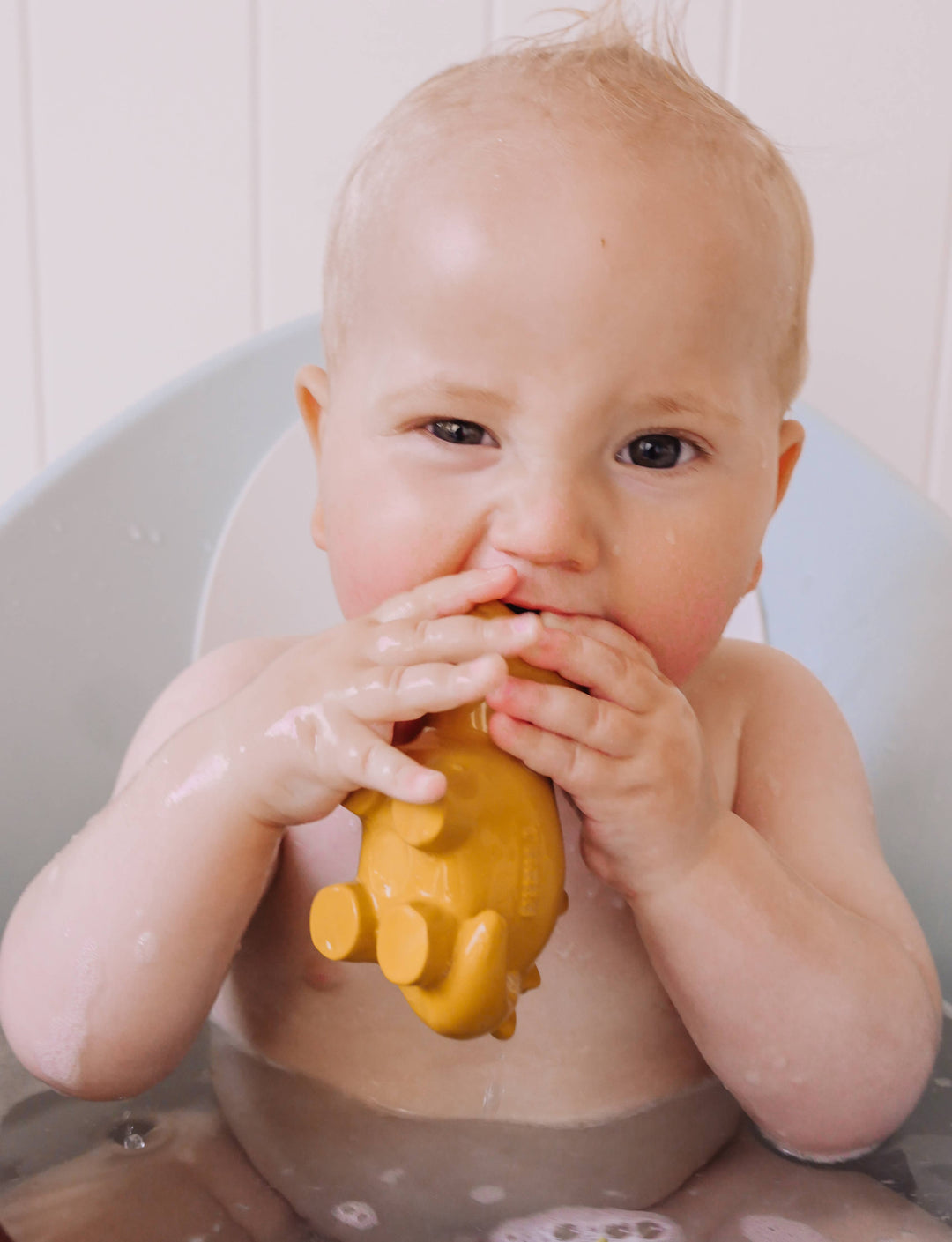 Stego Natural Rubber Teether, Rattle &amp; Bath Toy