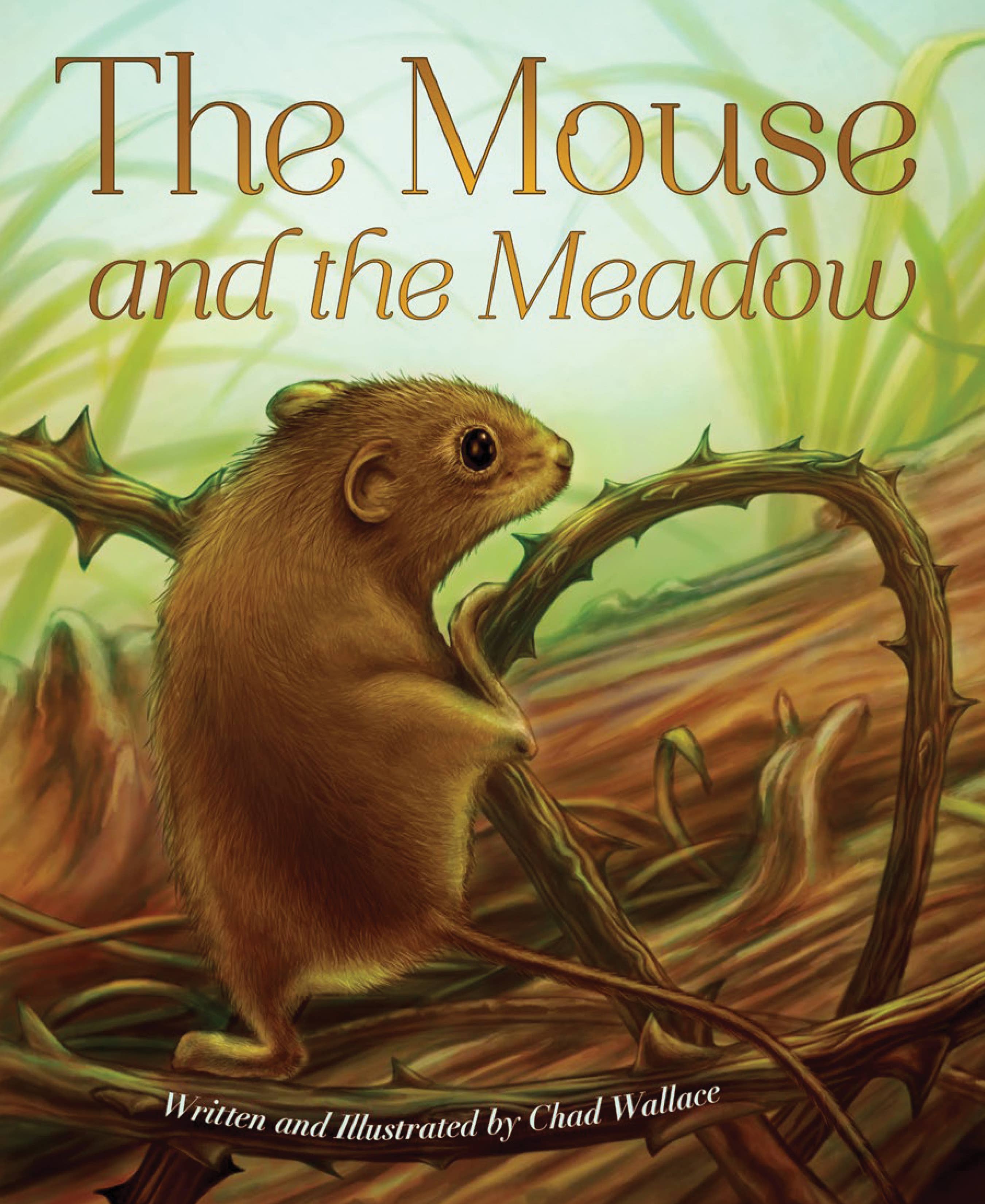 Mouse and the Meadow, The (HC-Pic)