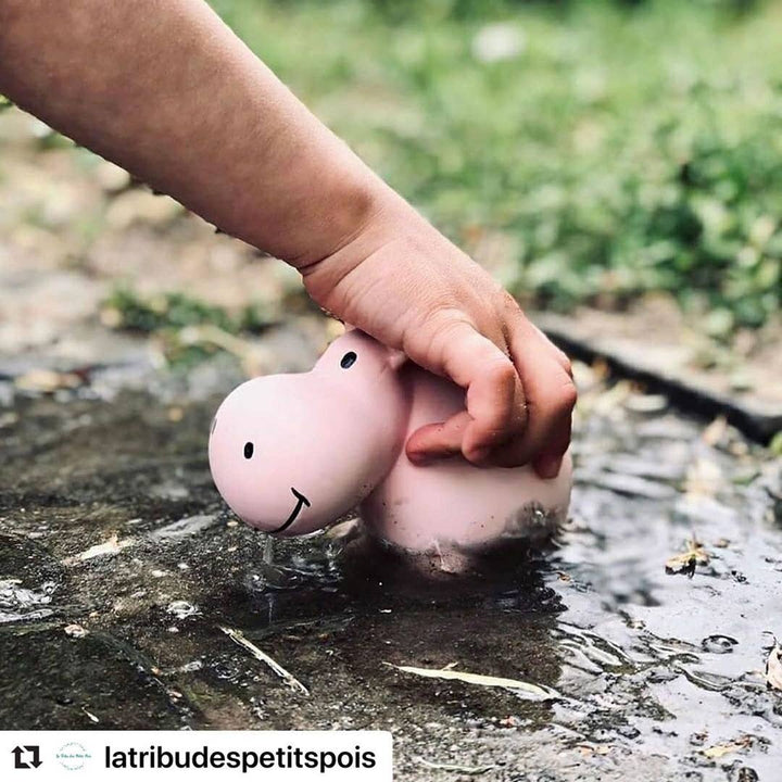 Hippo Natural Organic Rubber Teether, Rattle &amp; Bath Toy