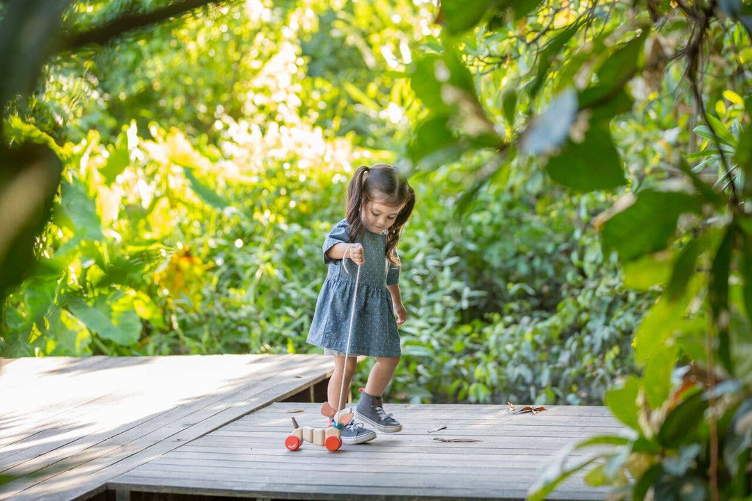 Happy Puppy Pull Pal