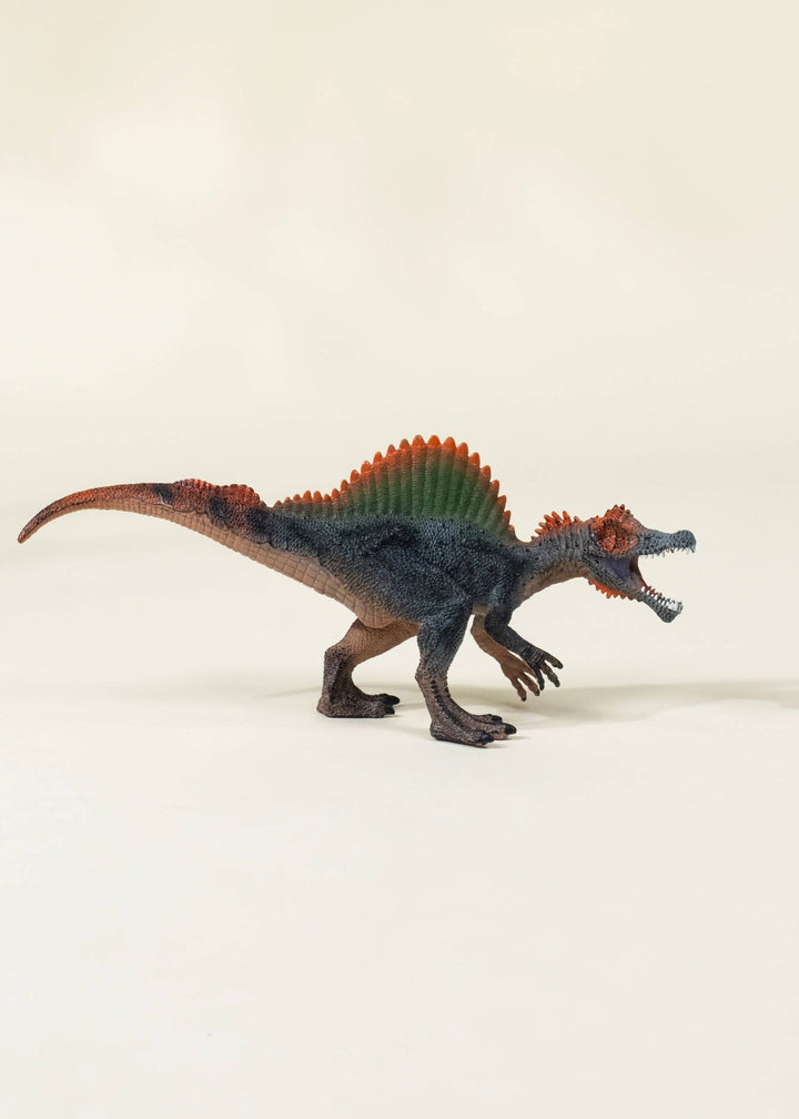 Spinosaurus Dinosaur in a Collectible Box